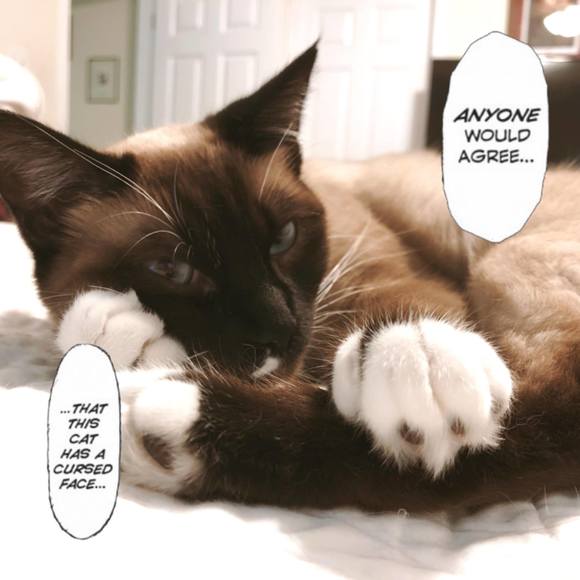 Meet your Posher, Courtney - Picture 1 of 1